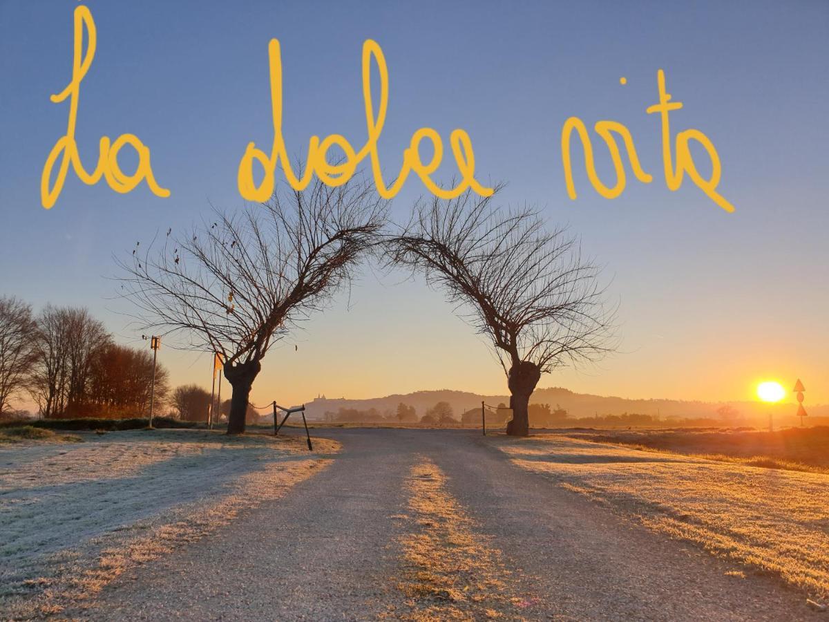 La Dolce Vita كاستيلْفيدارْدو المظهر الخارجي الصورة